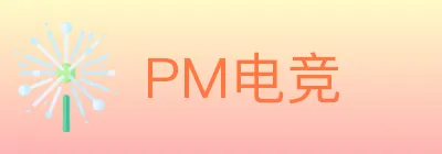 PM电竞 logo